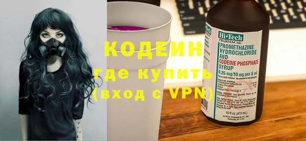хмурый Арсеньев