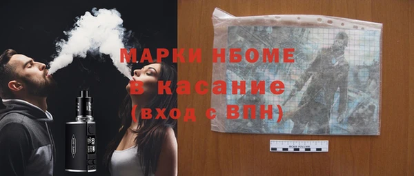хмурый Арсеньев