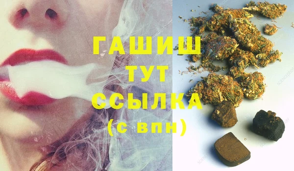 хмурый Арсеньев