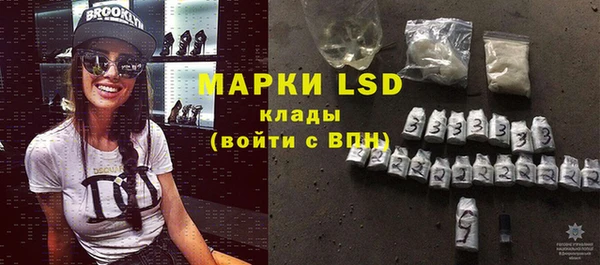 хмурый Арсеньев