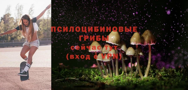 хмурый Арсеньев
