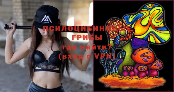 хмурый Арсеньев