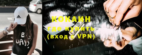 хмурый Арсеньев