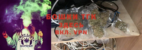 хмурый Арсеньев