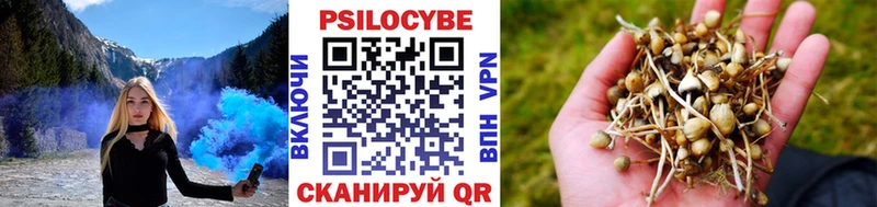 Купить где  Дзержинский  Псилоцибиновые грибы Magic Shrooms 